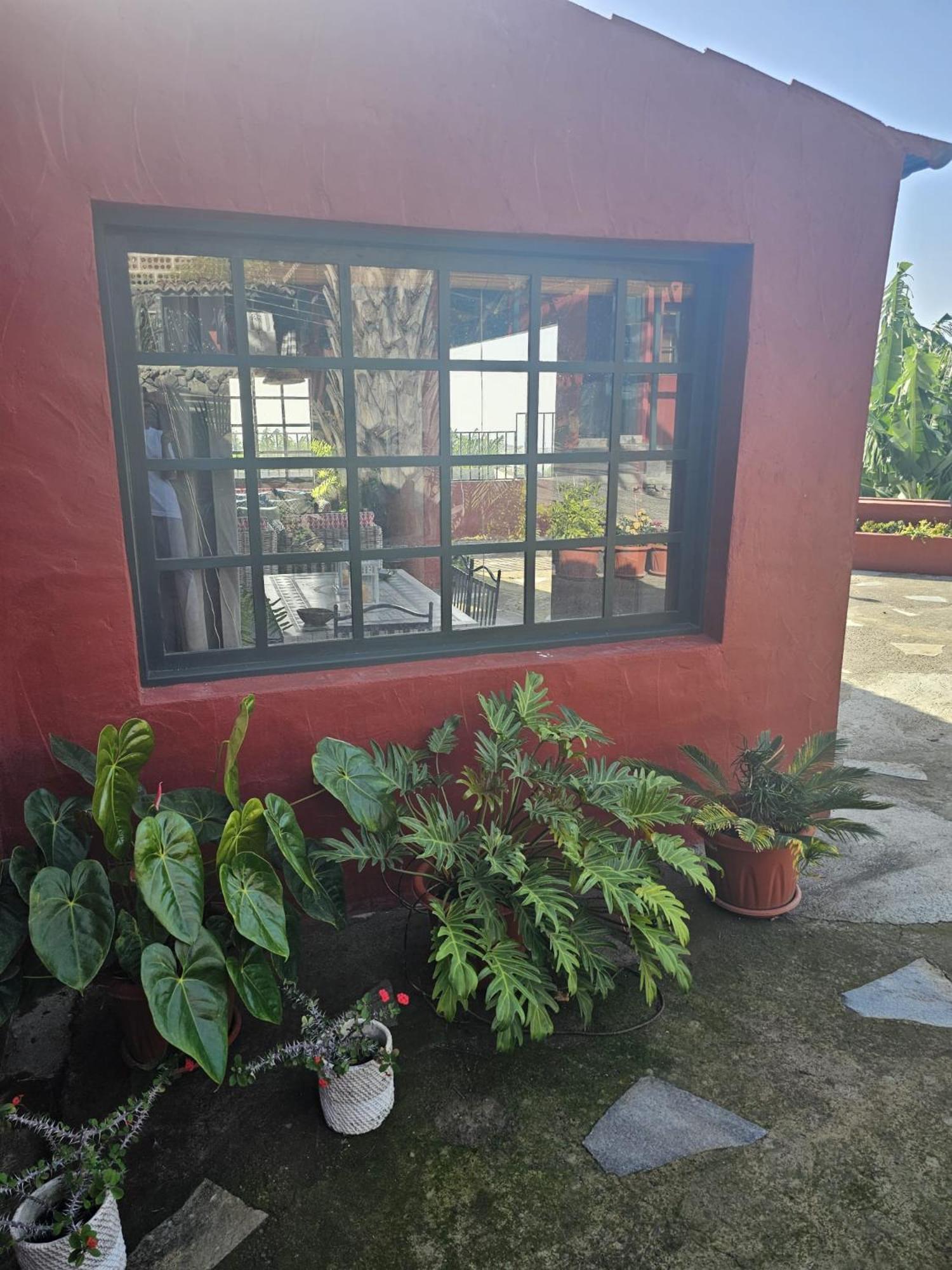 Casa Rural El Pinito Con Piscina Privada El Paso Esterno foto